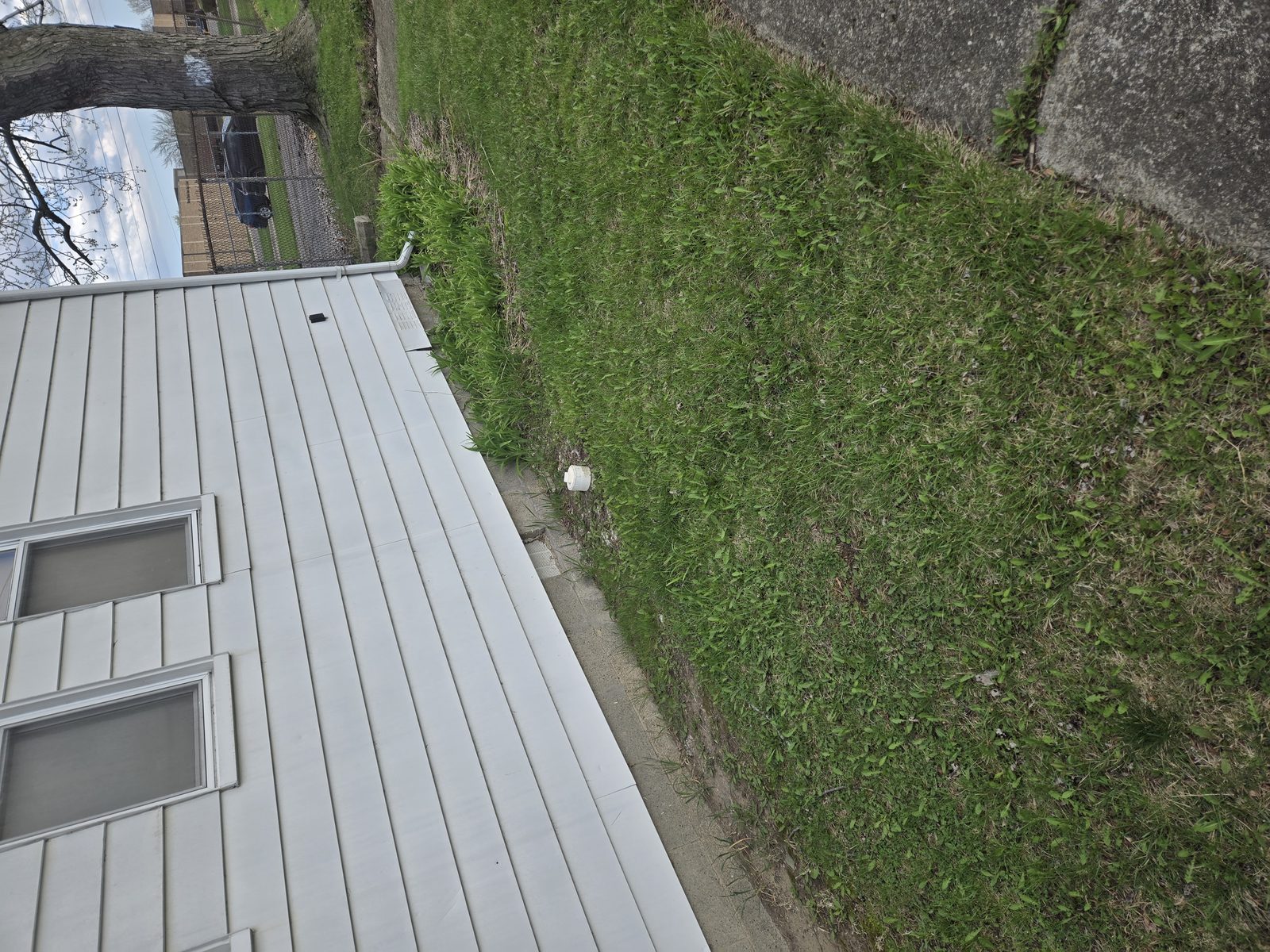 Spring cleanup at Santa Maria Lodge